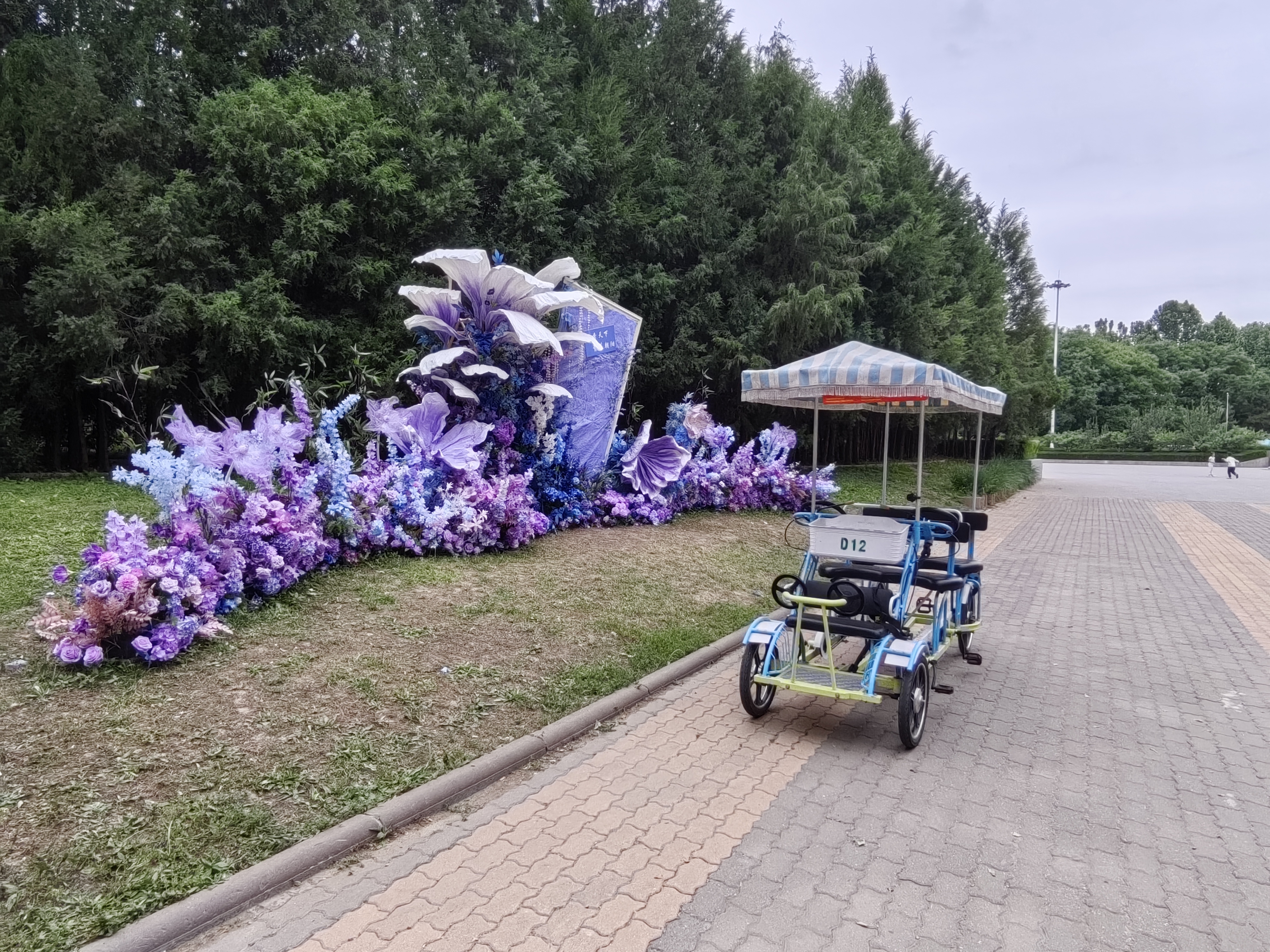 Double Row Bike BLUE 2