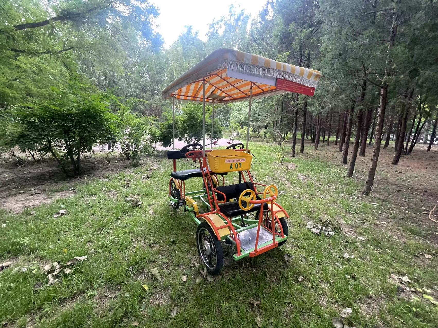Single Row Surrey Bike Orange