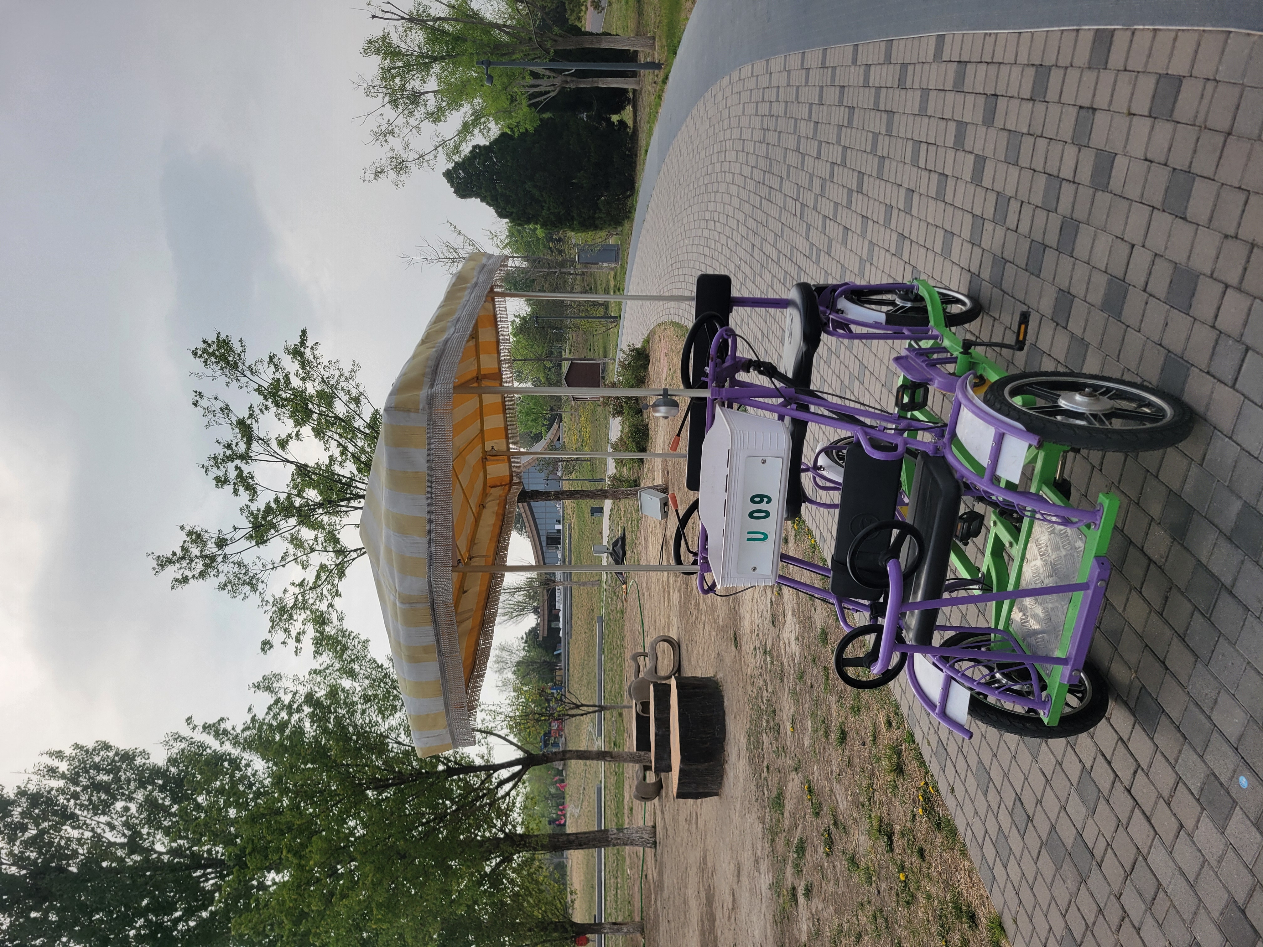 Single Row Bike PURPLE 2