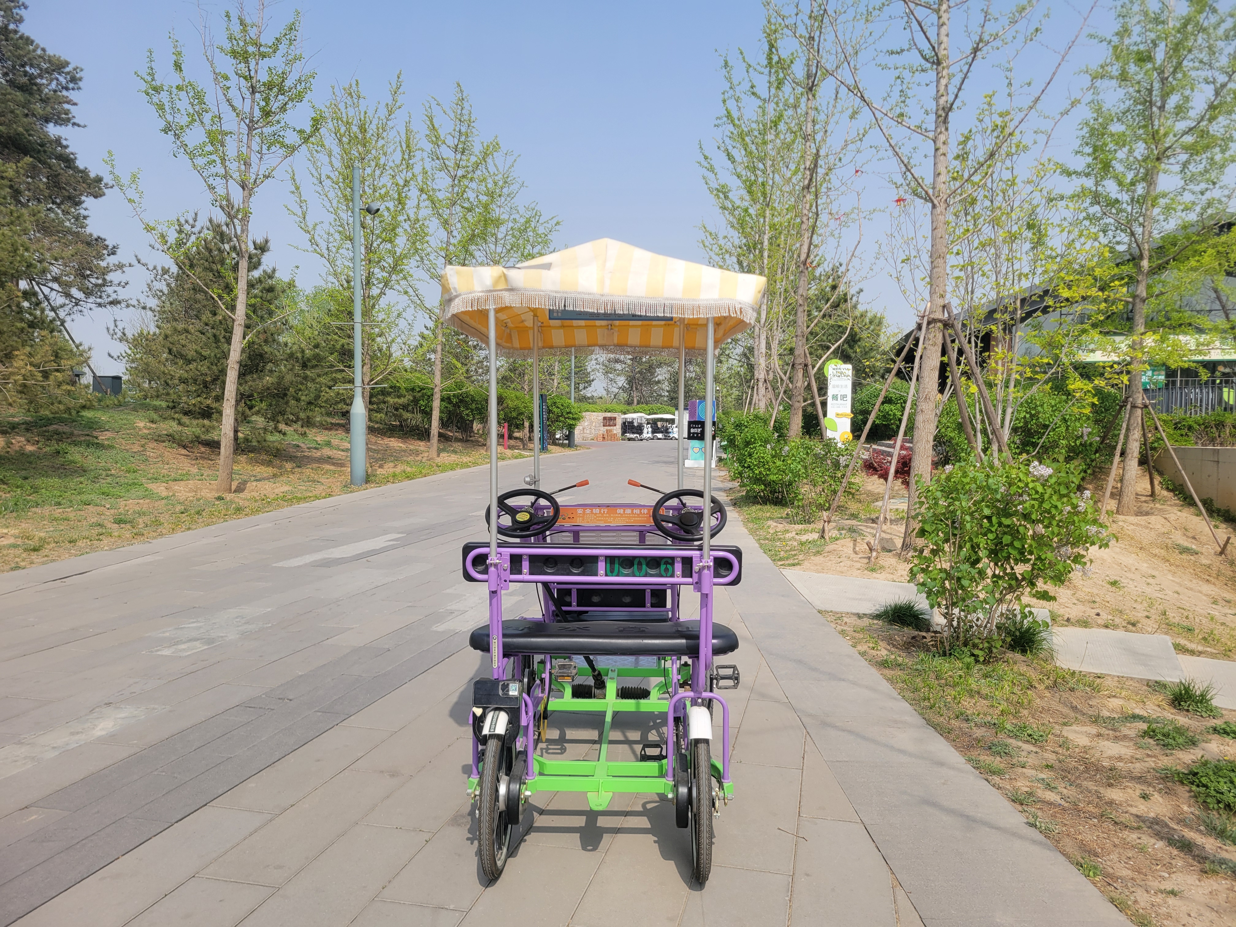 Single Row Bike PURPLE 3