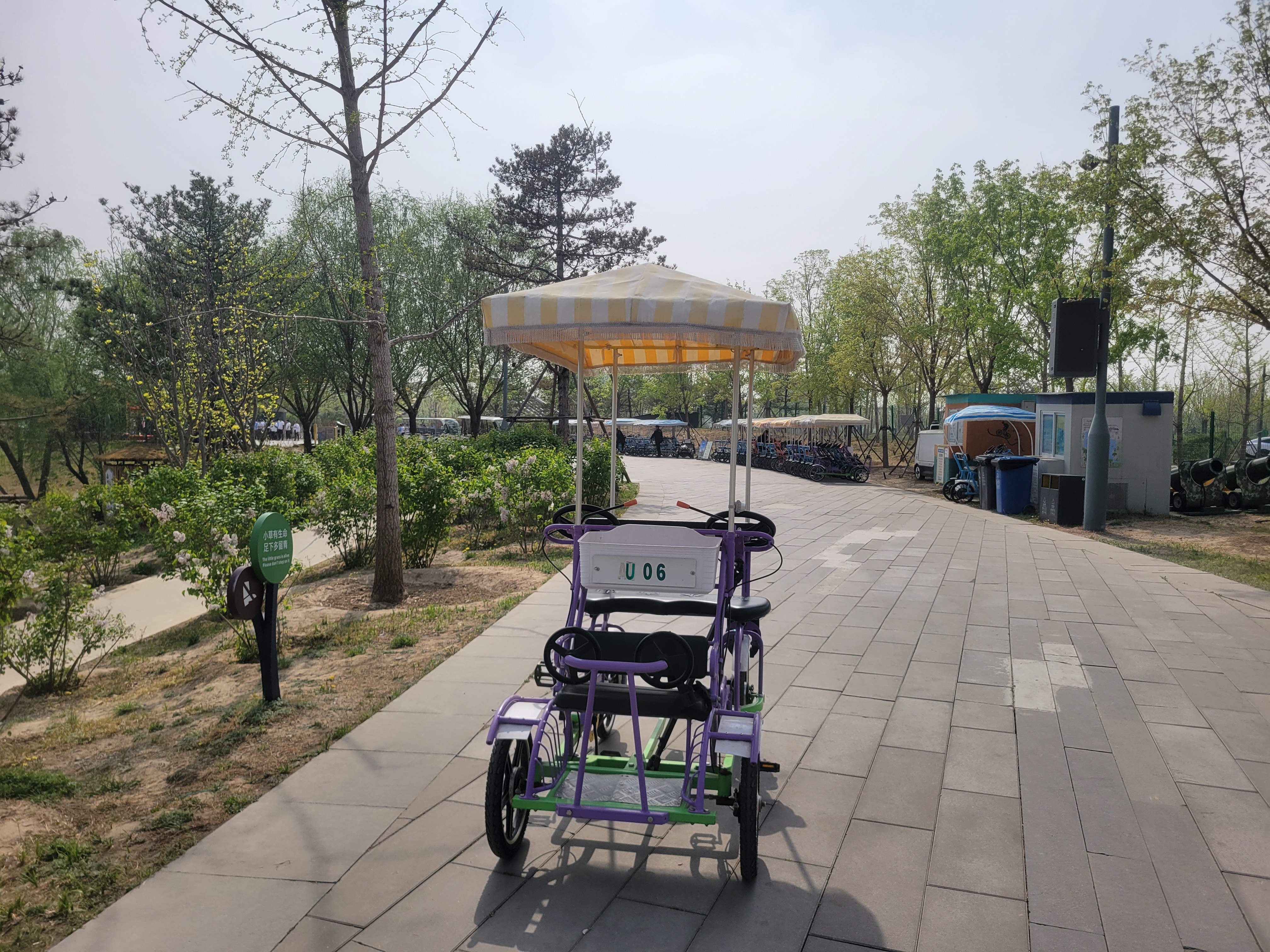 Single Row Bike PURPLE 4