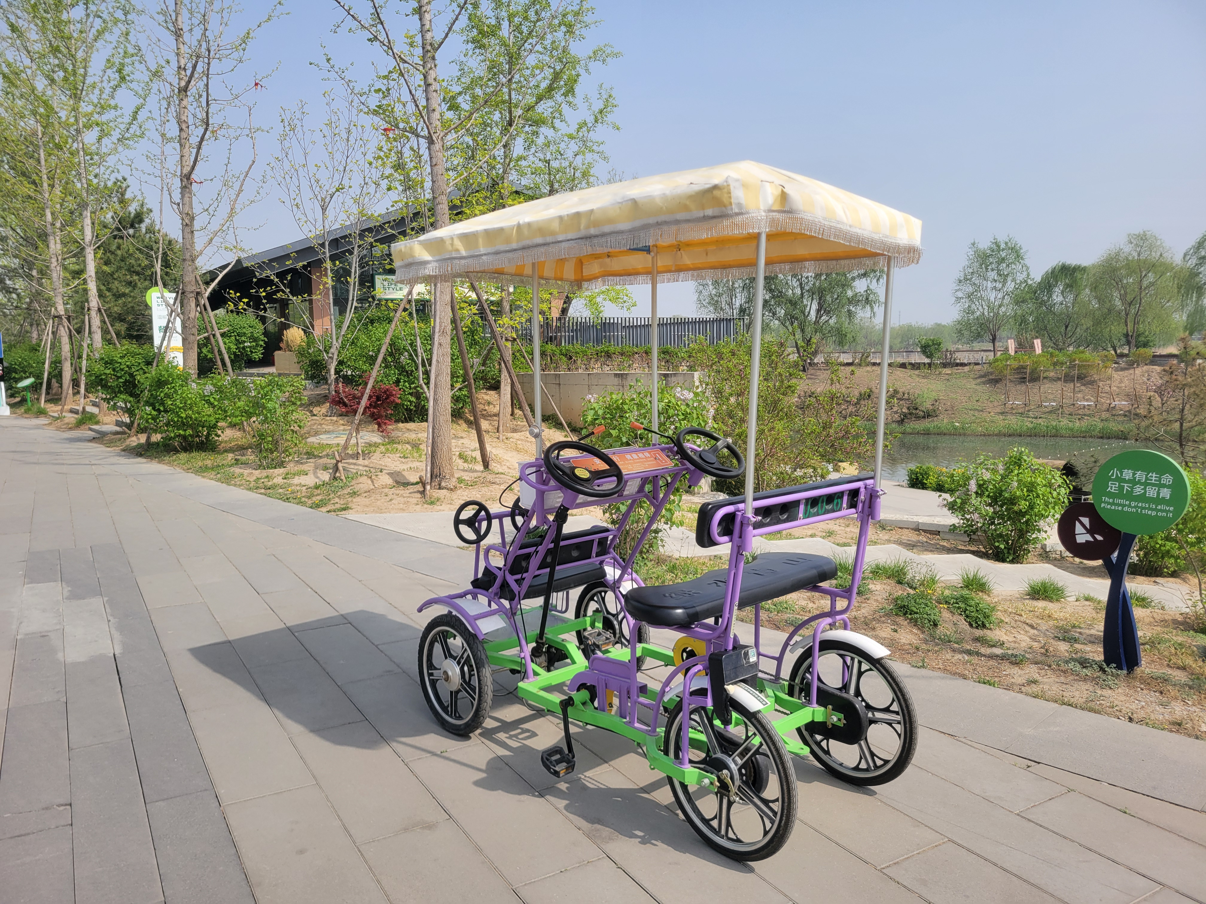 Single Row Bike PURPLE 5