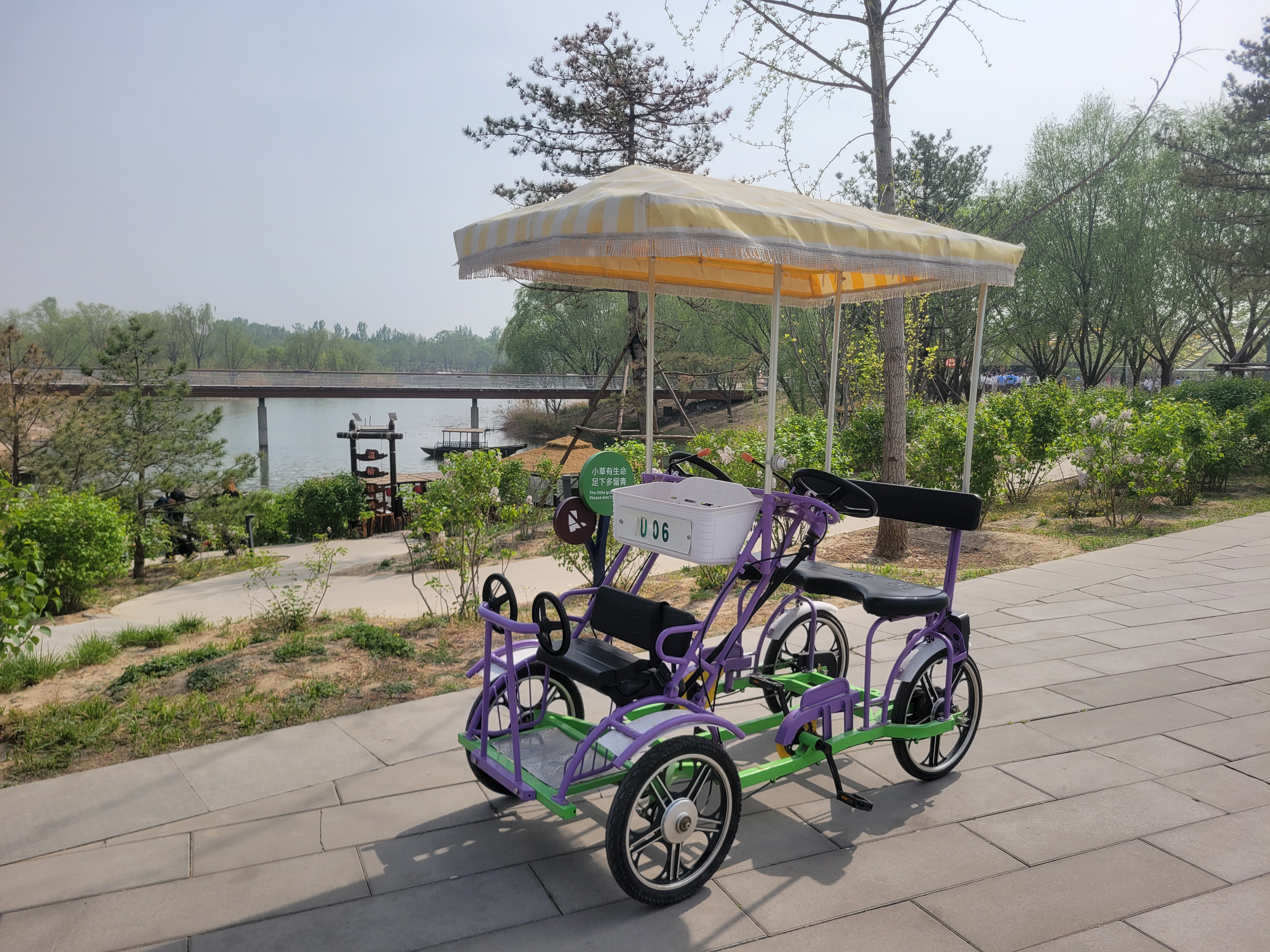 Single Row Surrey Bike Purple